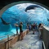 Saint Louis Zoo
