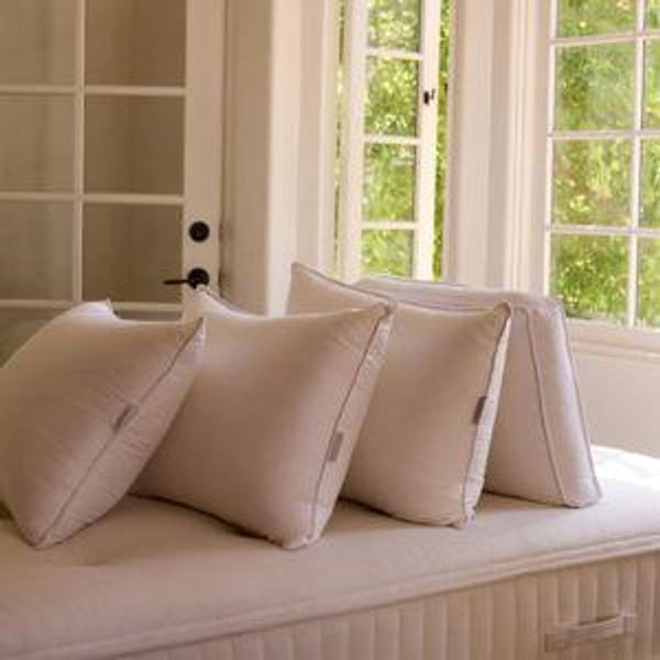 Down Pillow - Standard / Soft