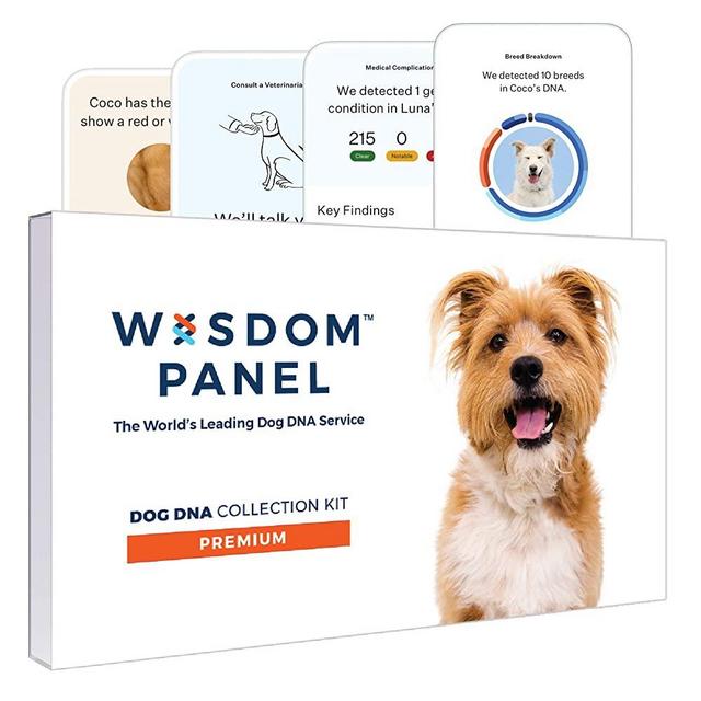 Wisdom Panel Premium, New and Improved Dog DNA Test for Comprehensive Health, Traits and Ancestry