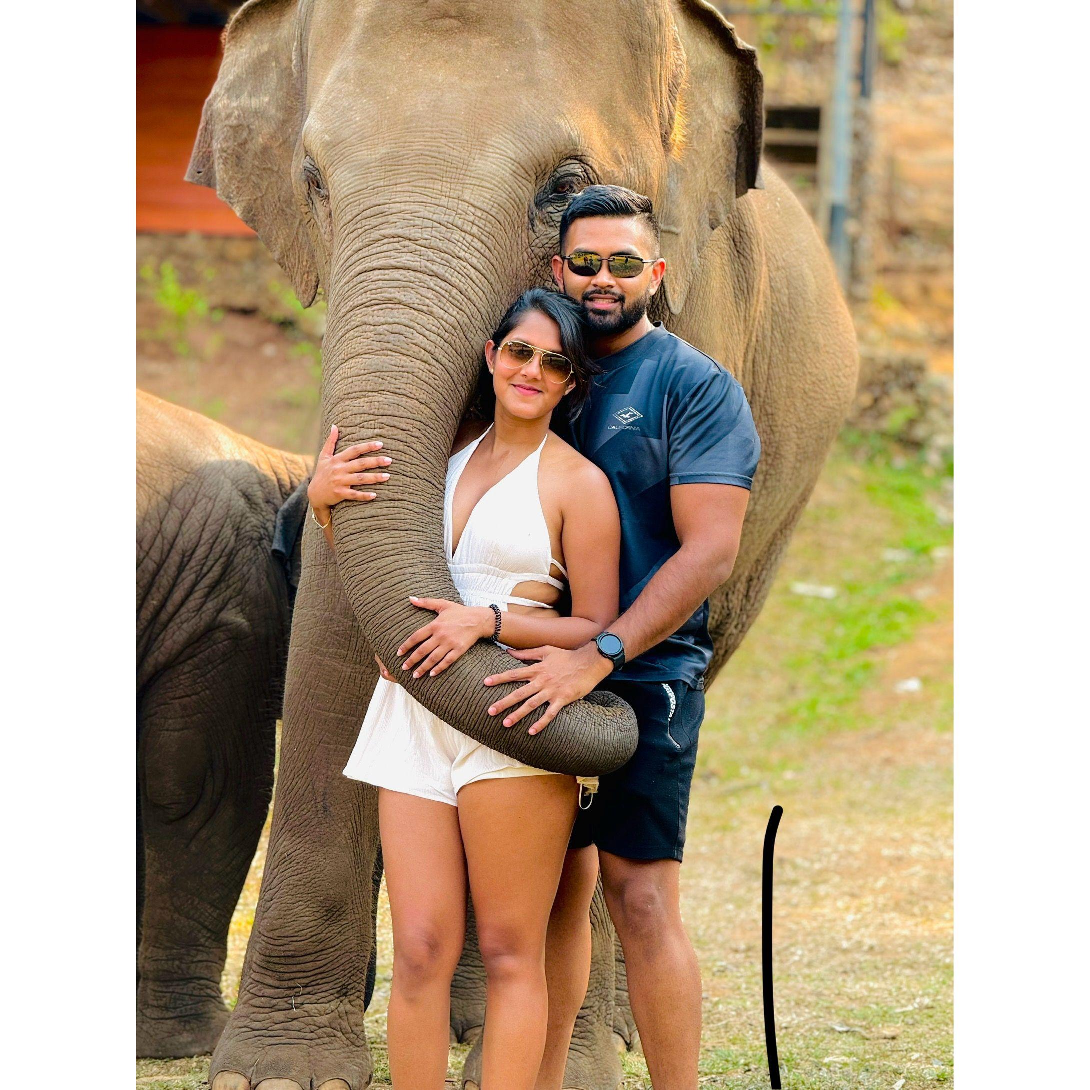 Playing with elephants —living out our best wild adventure! 🐘🤎