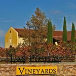 Las Positas Vineyards