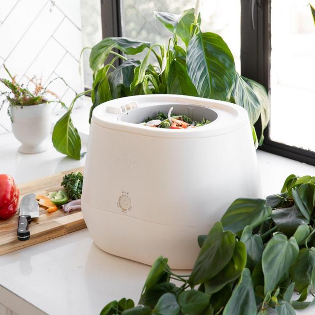 Lomi Composter
