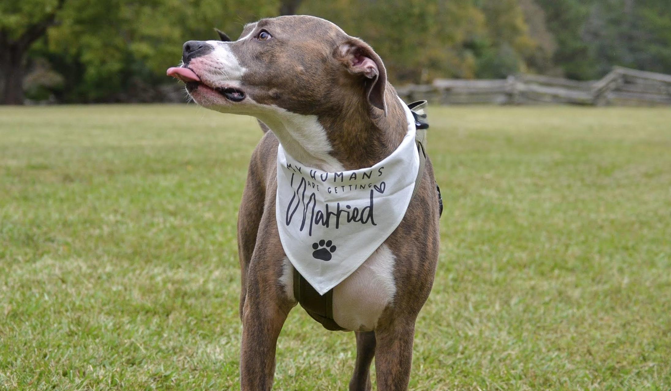 Hero Slideshow Image 2