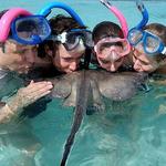 Stingray City Antigua