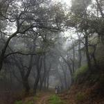Placerita Canyon Nature Center