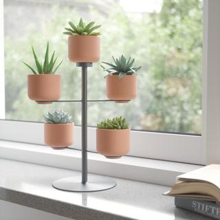 Terrapotta Tabletop Planter