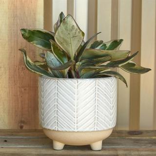 Ramos Chevron Cachepot, Set of 4