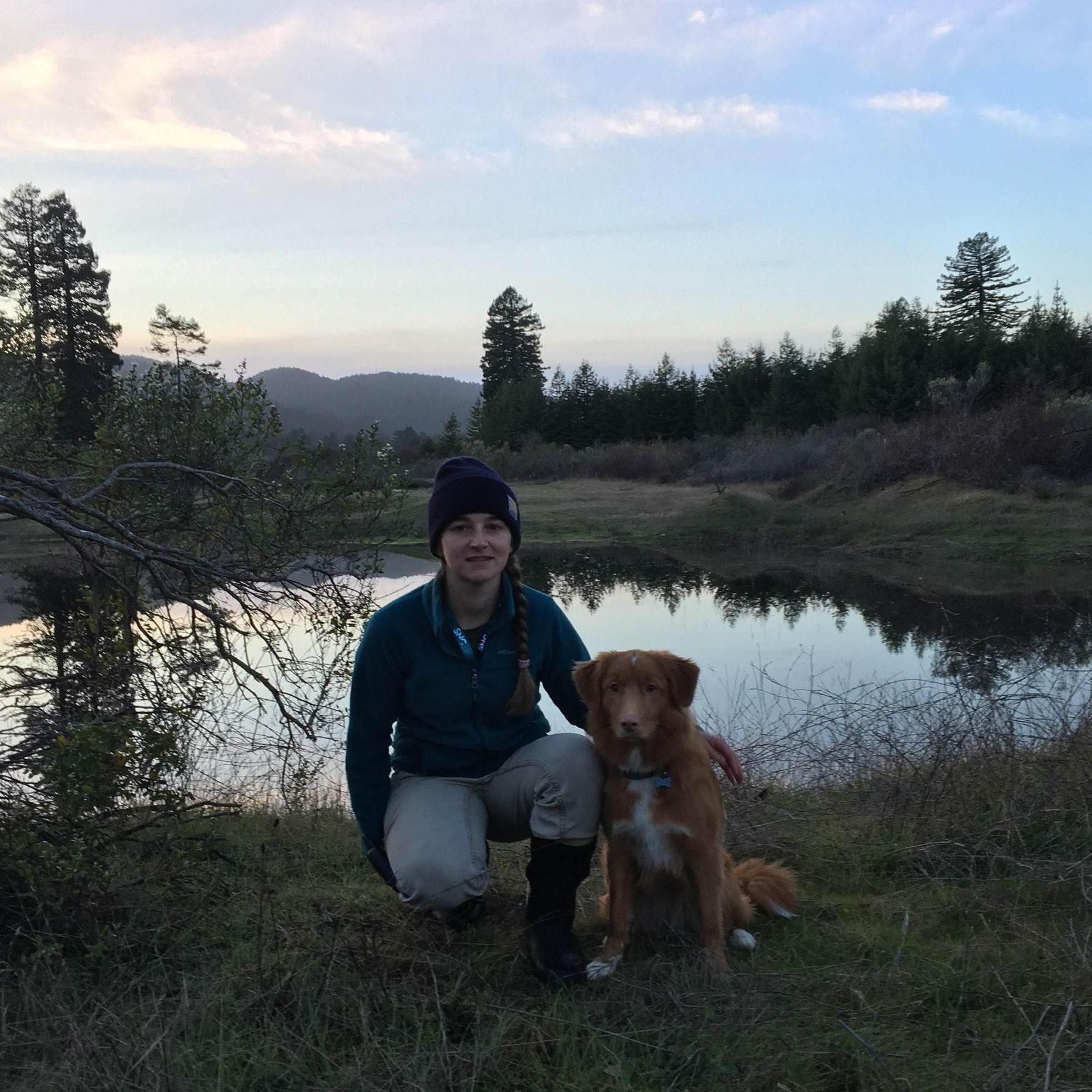 Scout and Roxy enjoying sunset, 2018