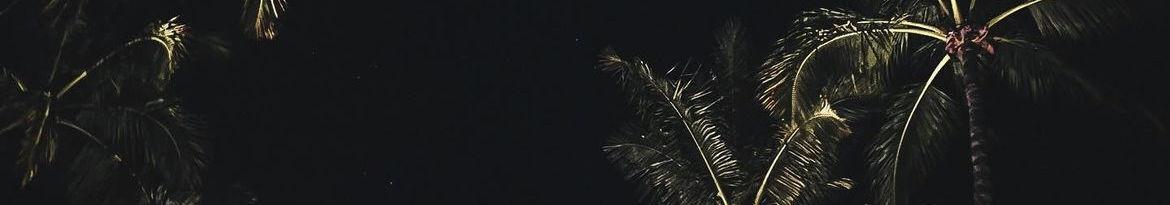 The Wedding Website of Amparo Velez Echavarria and Alejandro Servalli Malvisi