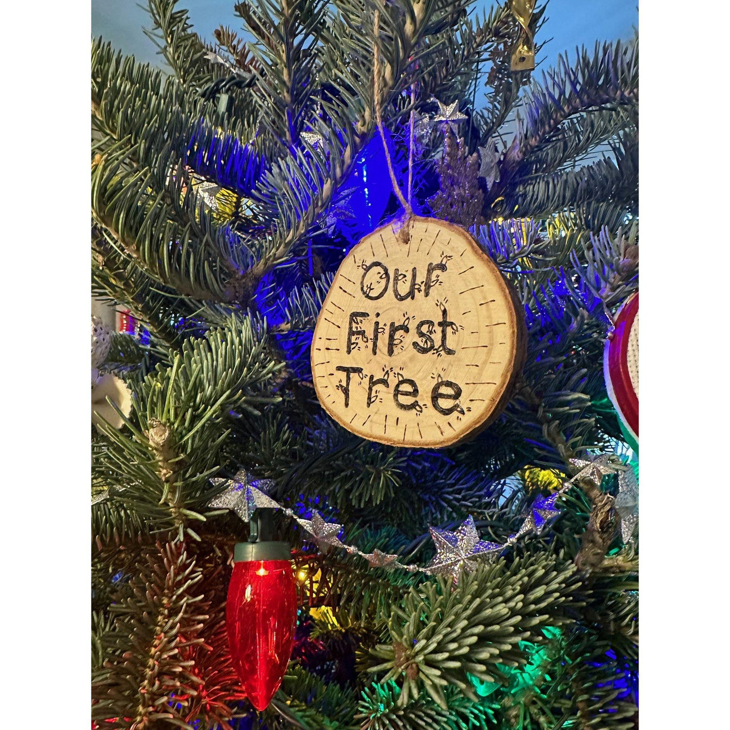 Michael made this ornament after our first trip to Lake Forest Garden to get our tree!
