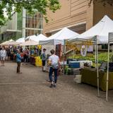 Portland Farmers Market at PSU