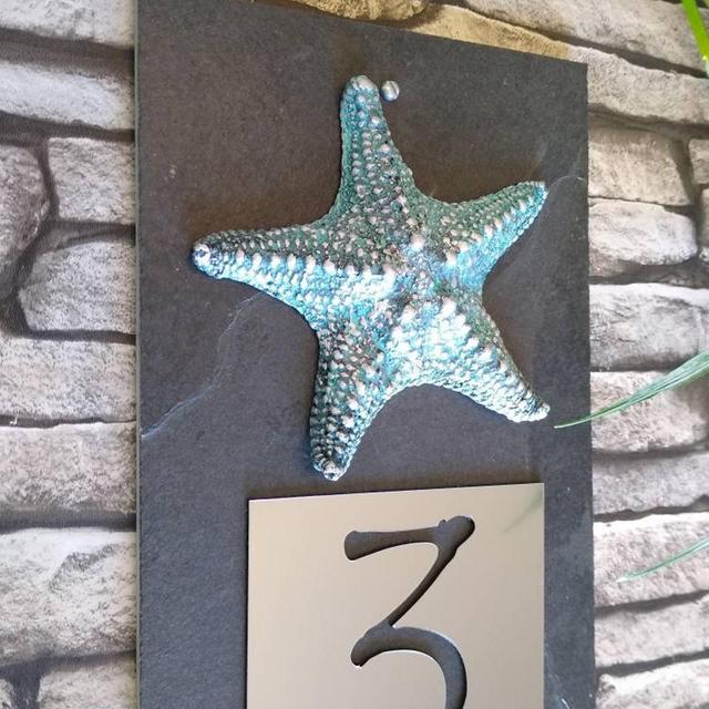 Aqua Blue STARFISH House Numbers, Coastal...