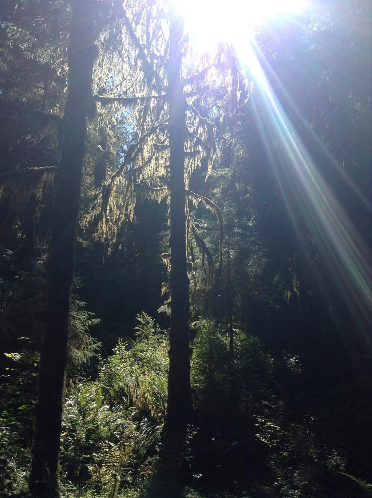 4f9f3c4a-0592-443f-b2d6-e281a5846e02