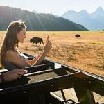 Jackson Hole Wildlife Safaris