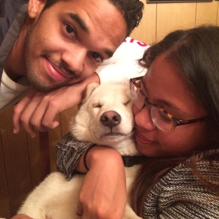Our Baby, Goku "Pacholo" Guevarra-Fernandez. A half filipino, half dominican Shiba Inu. <3