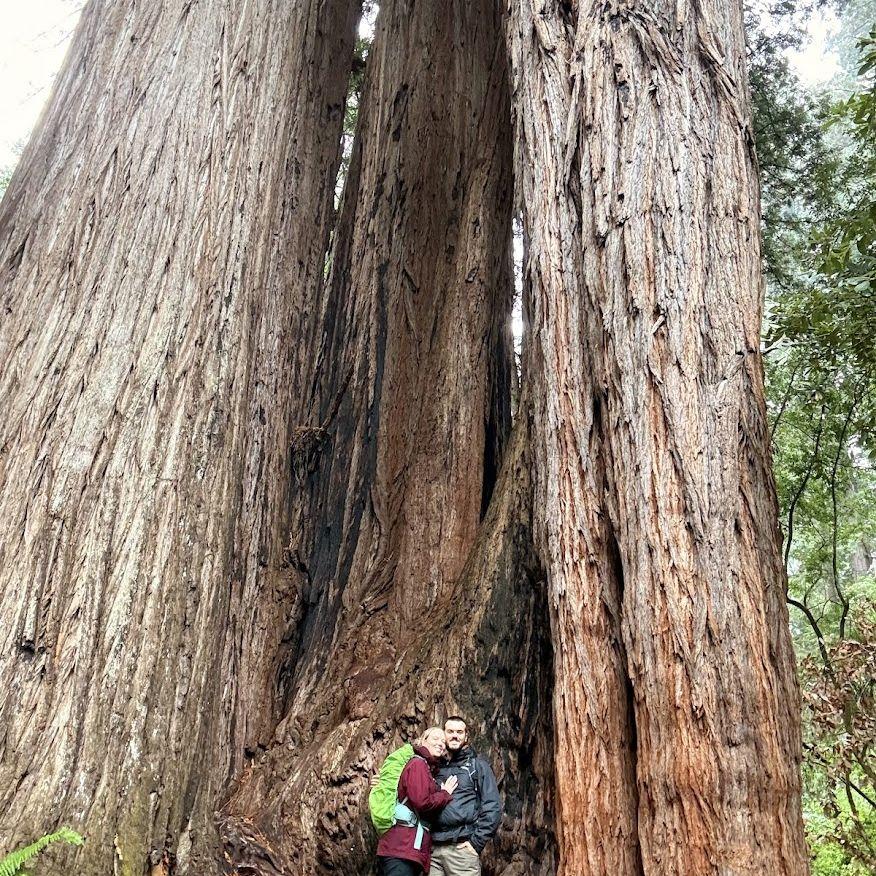 Rainy day in the Redwoods