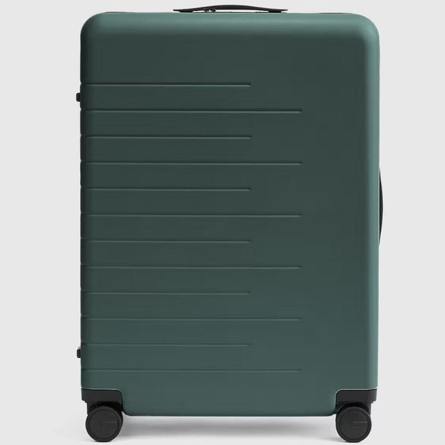 Large Check-In Suitcase - Large Check-In, Dark Green