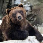 Lake Superior Zoo