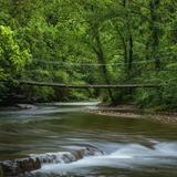 Tanyard Creek Nature Trail