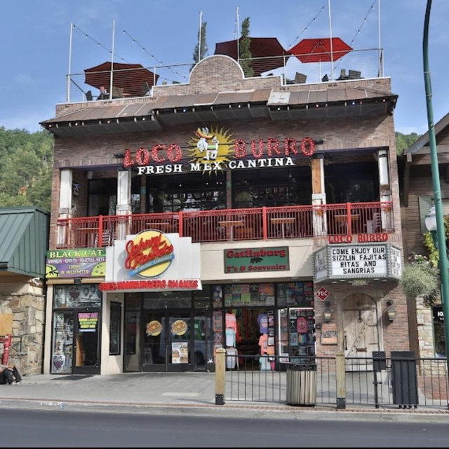 Lunch at Loco Burro Fresh Mex Cantina