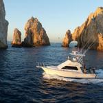 Cabo Fishing Charters