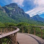 Kirstenbosch National Botanical Garden