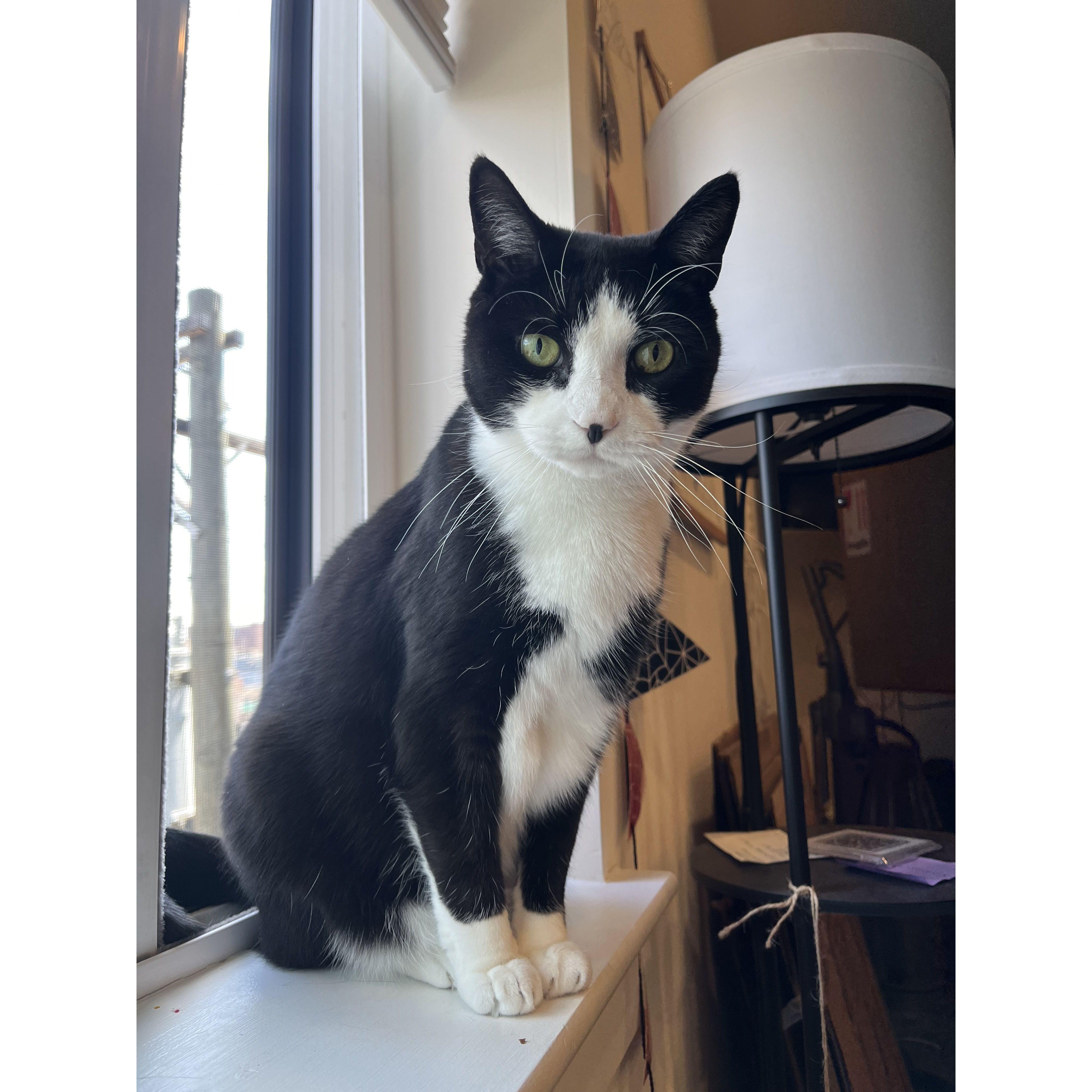 our cute annoying son
