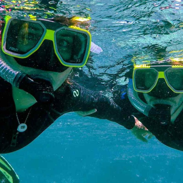 Snorkel Gear