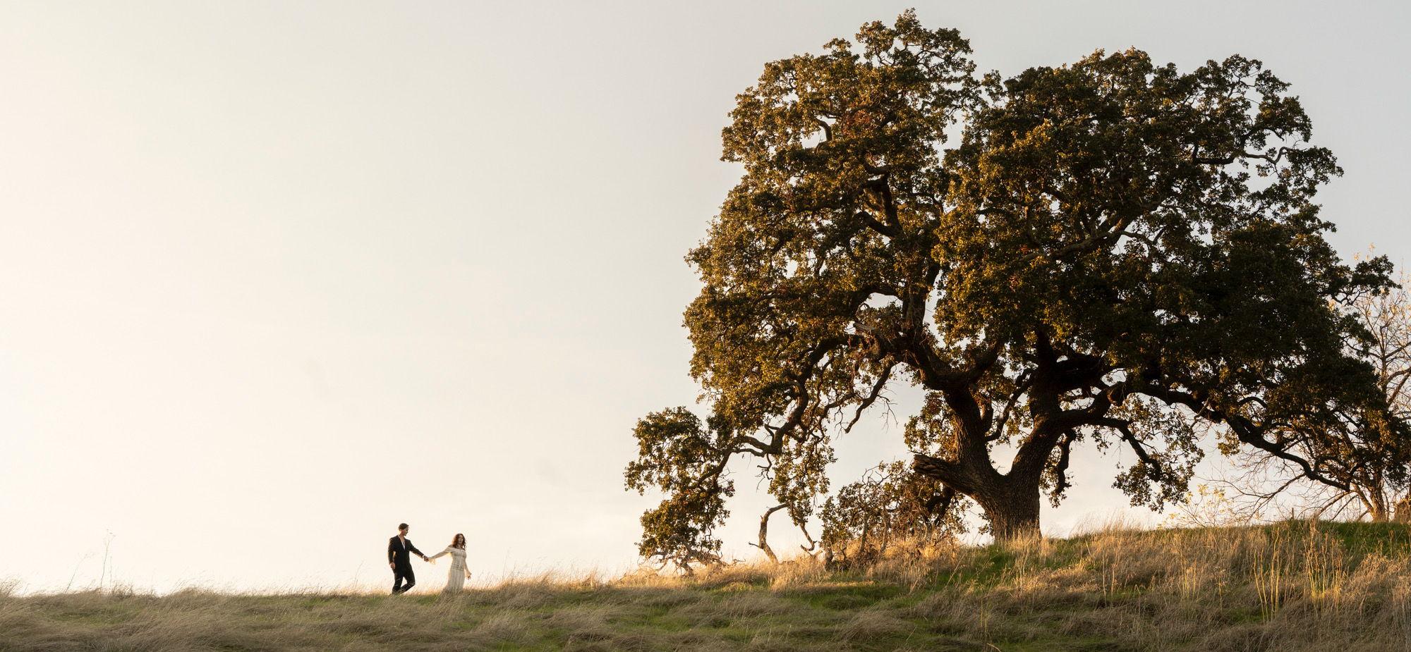 The Wedding Website of Laken Daily and Samuel Lamont