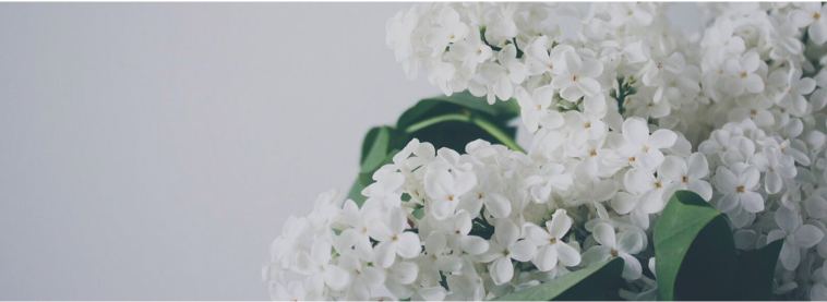 4fa808bf-568b-48bc-a128-c822dec7b309