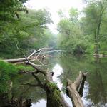 Eno River State Park