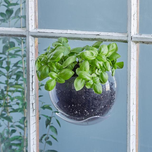 Window Plant Pod