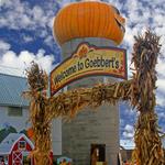 Goebbert's Farm & Garden Center - South Barrington, IL