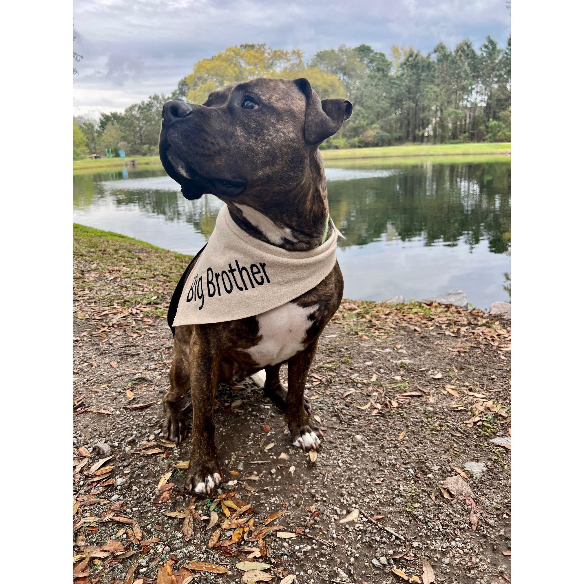 Hopefully, he won't look like his big brother! Even though Santana is so cute!