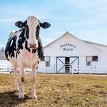 Arethusa Farm Dairy
