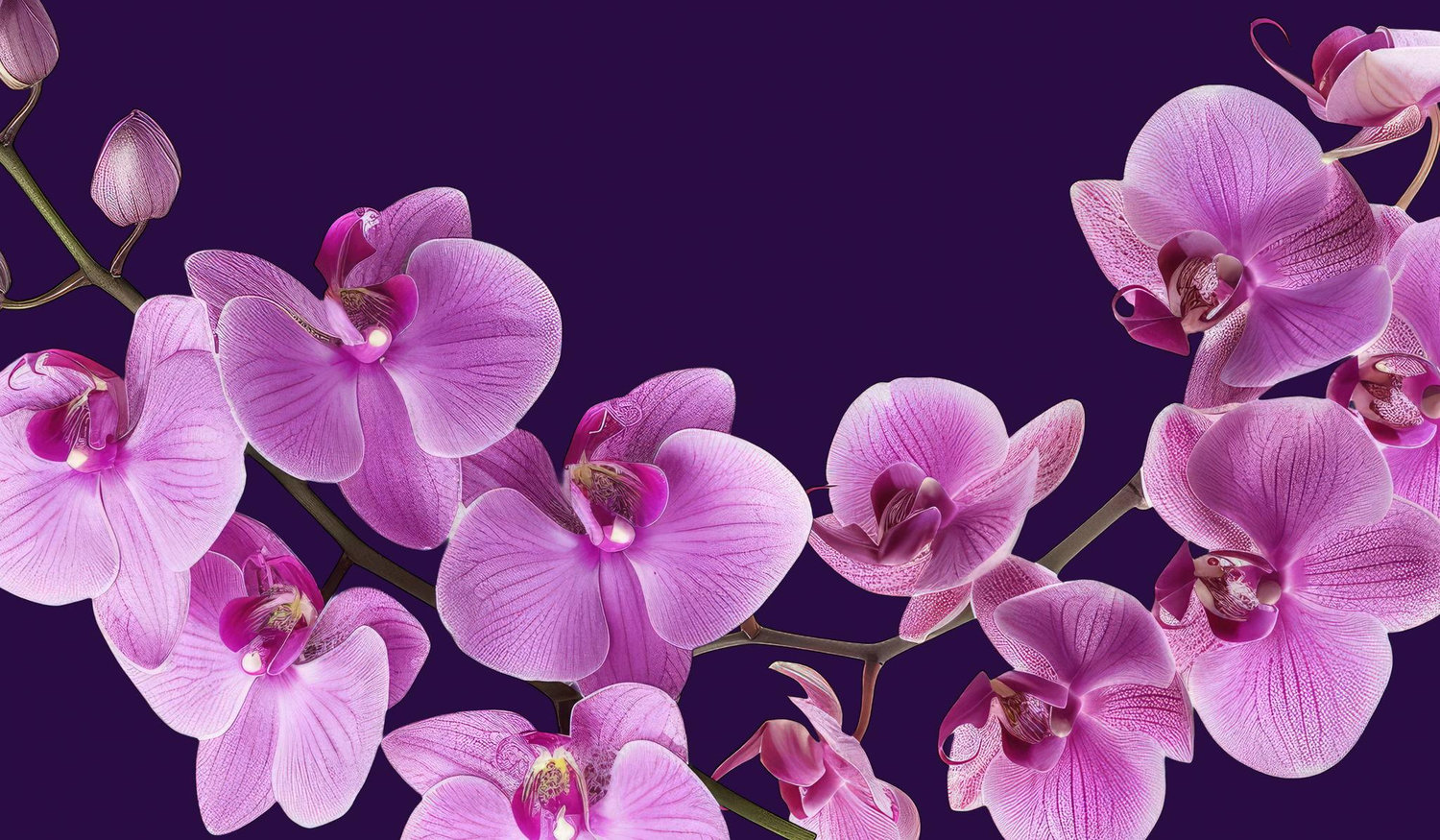 Footer image