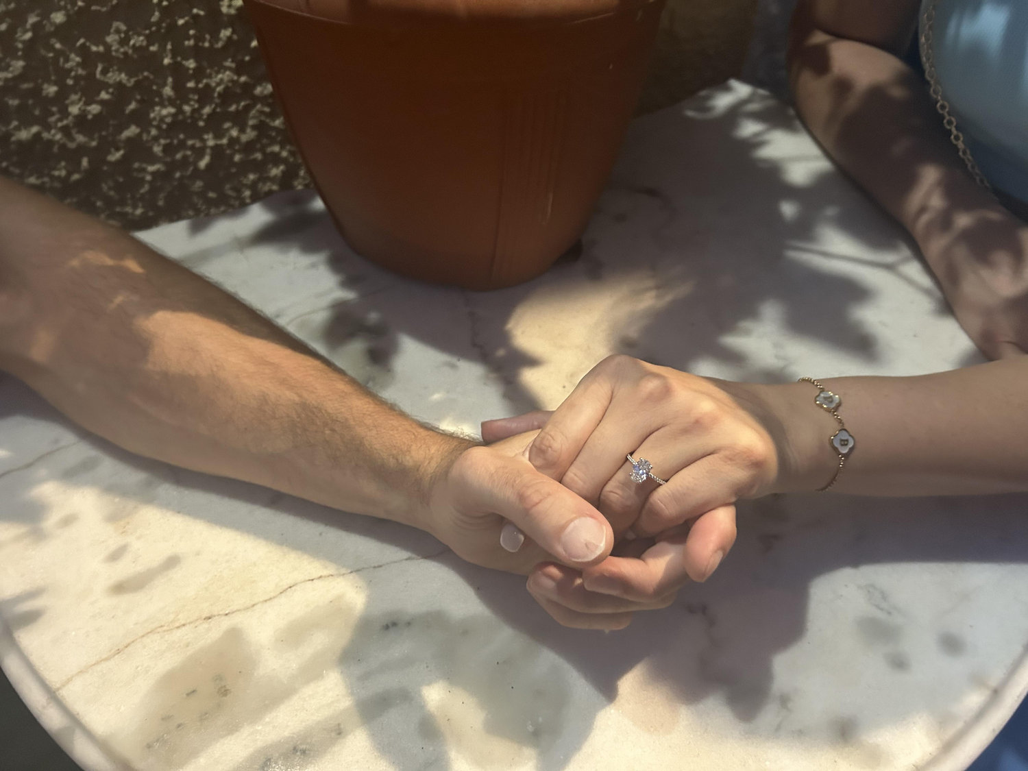 The Wedding Website of Meaghan Ecock and Dino Theodoratos