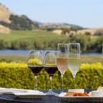 Napa Valley Winery