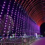 Christmas in the Park