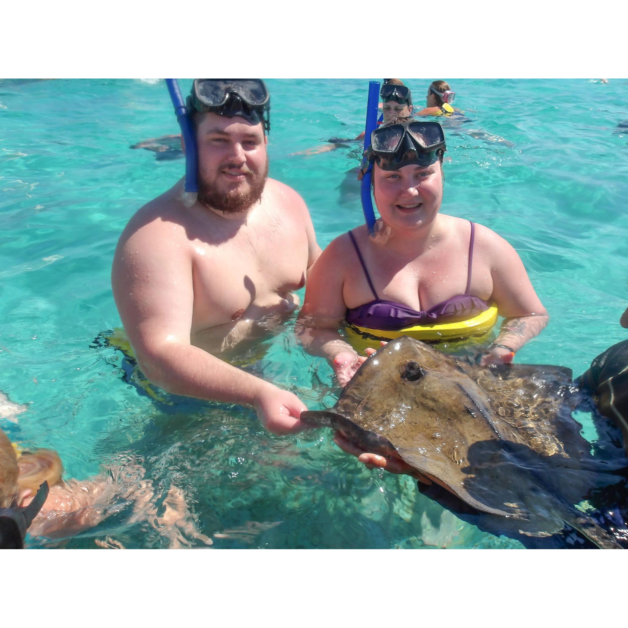 Sting ray