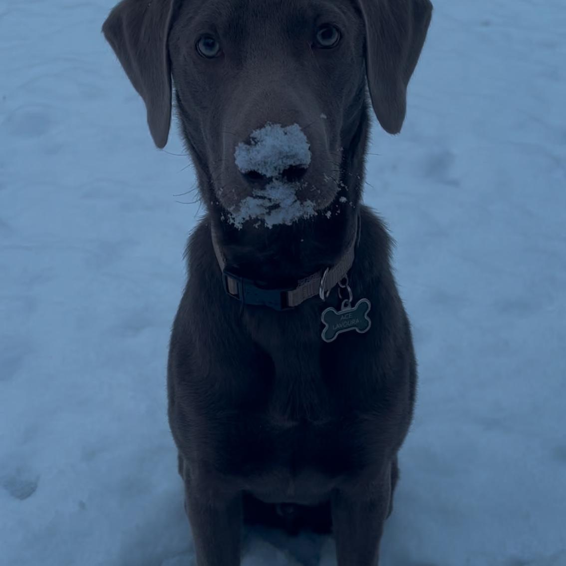 Our babies first snow day