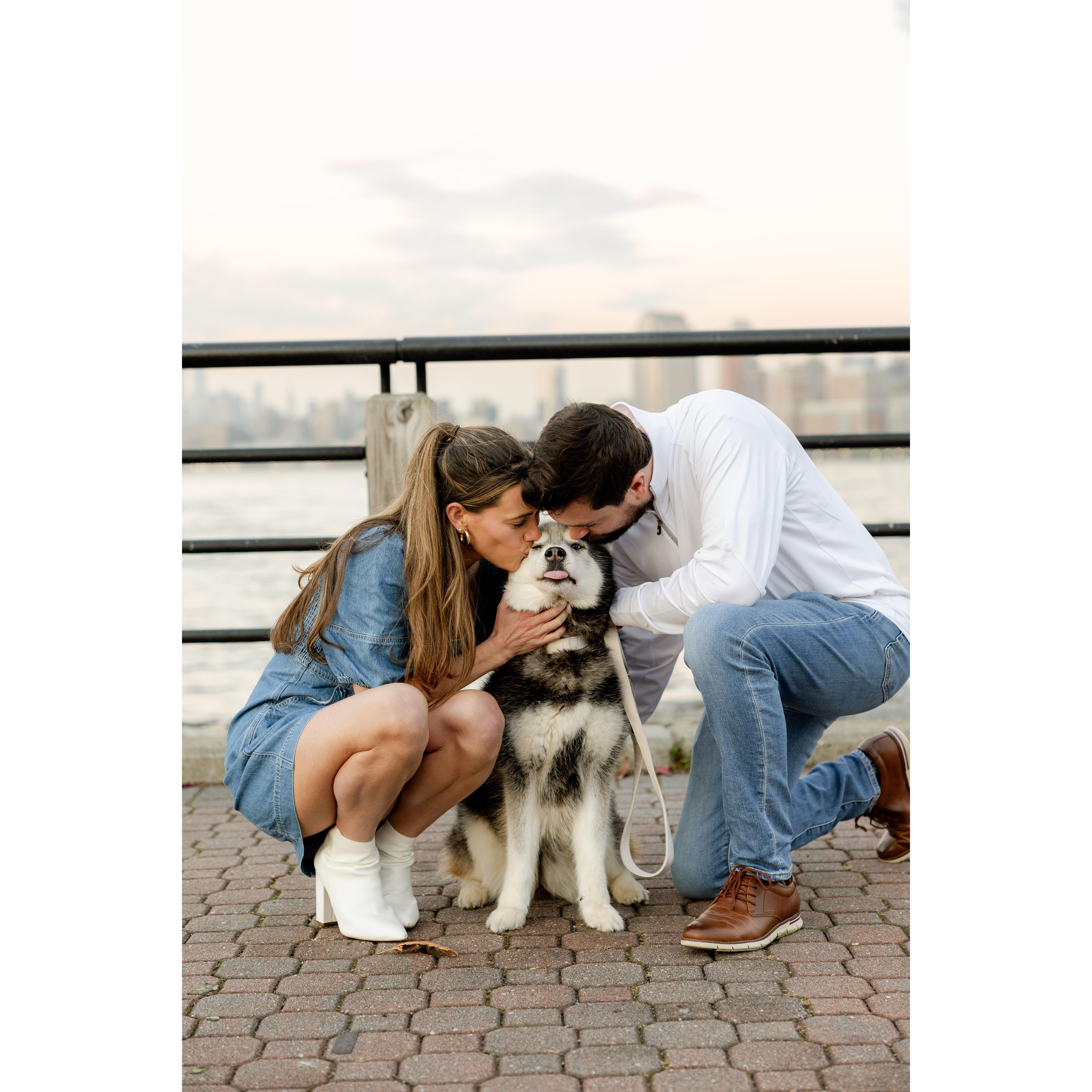 Finn of course had to be front and center at our engagement shoot!