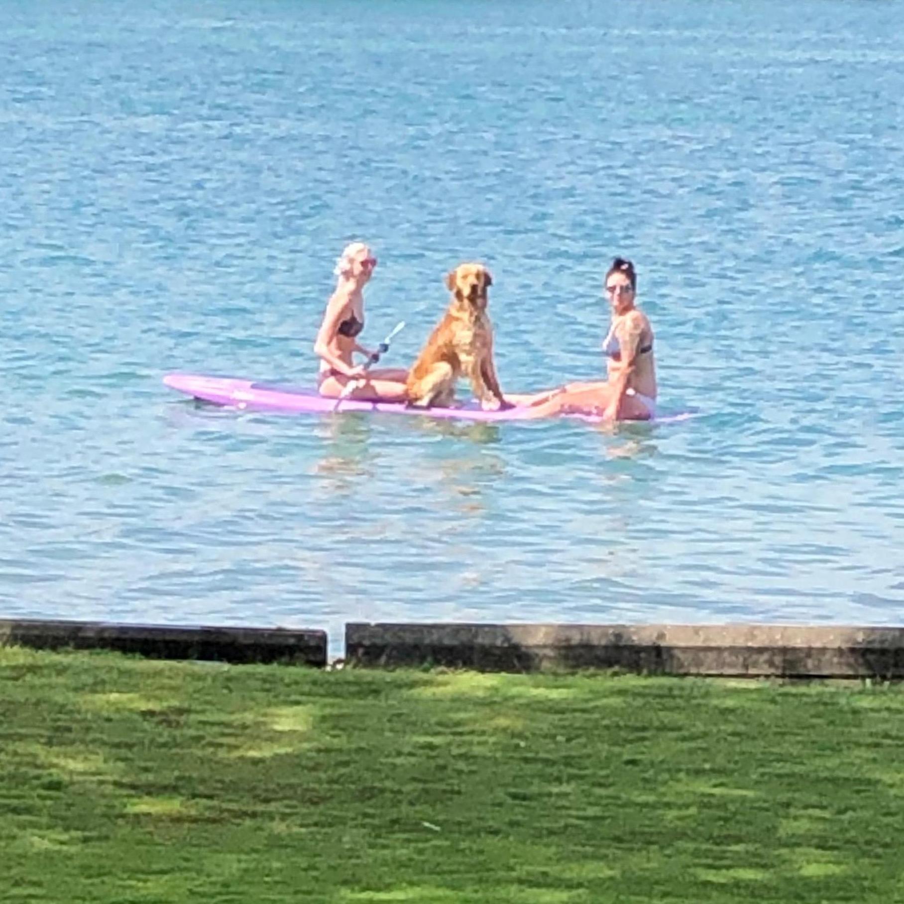 Many lake days