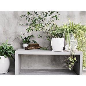 Campana Large White Planter + Saucer