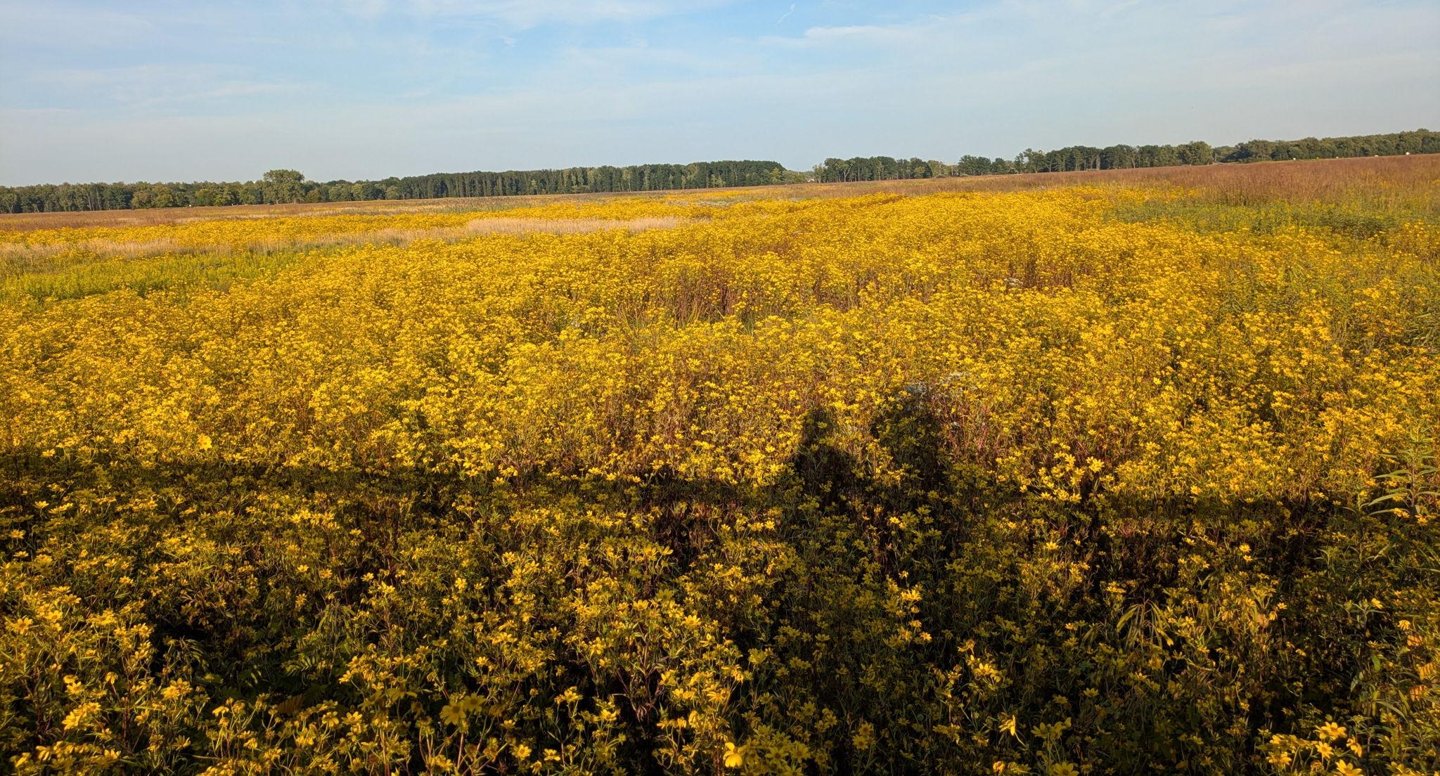 The Wedding Website of Angela Hung and Eric Myers