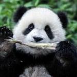 Zoo Atlanta