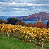Finger Lakes Wine Trail