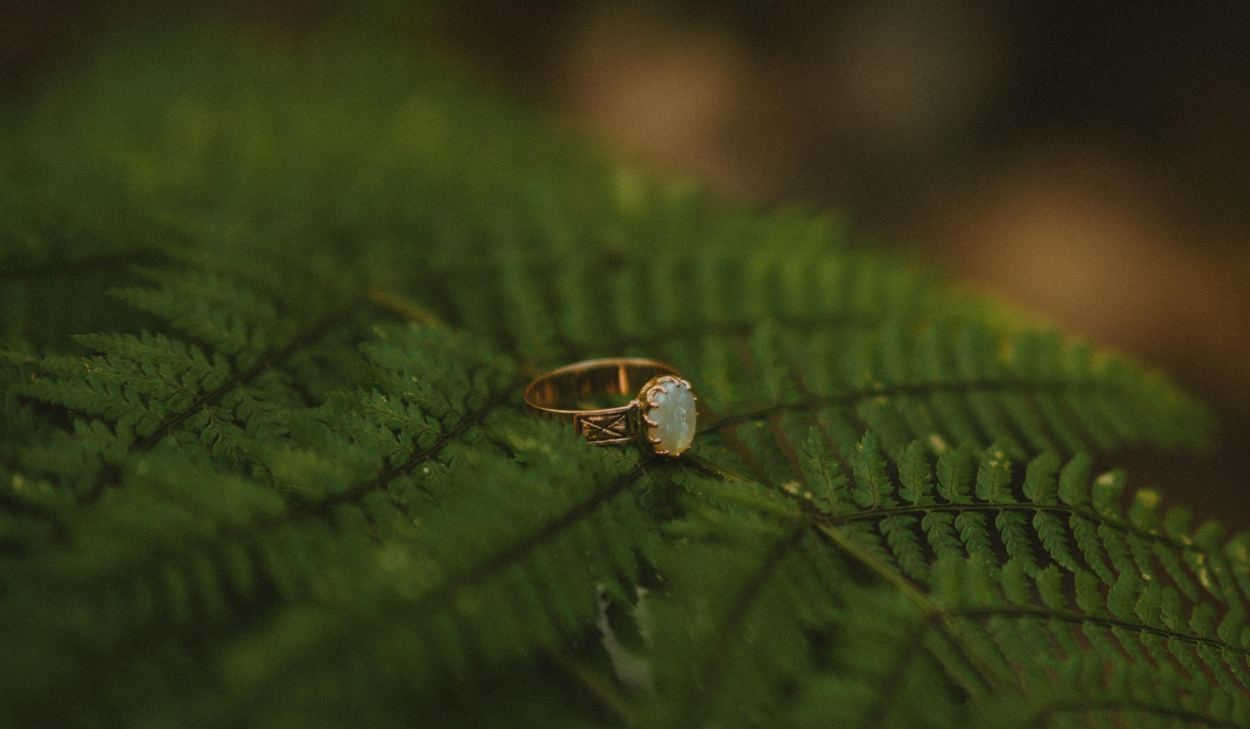 The Wedding Website of Alexandria Casey and Jackson Browning