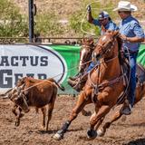Wickenburg