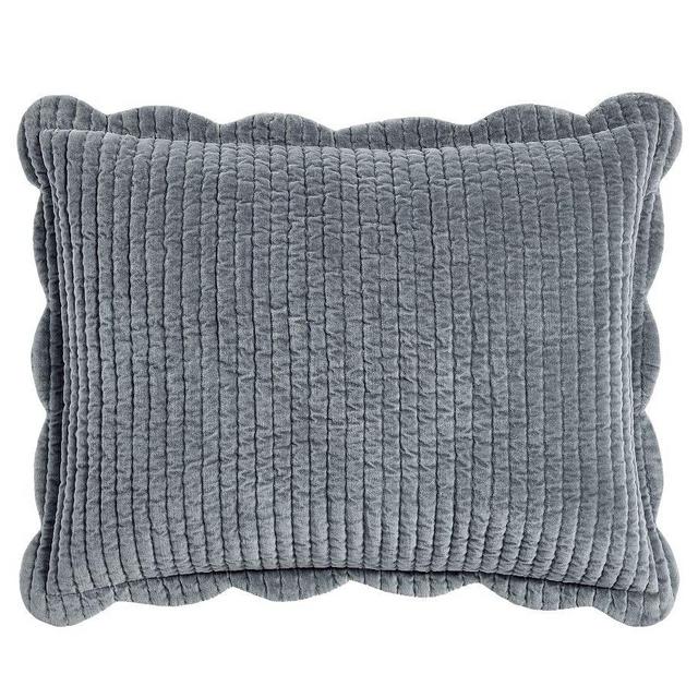 Velvet Scallop Edge Reversible Quilted Sham, Stormy Blue, Standard
